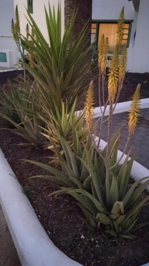 Blue View Hermoso Apartamento Remodelado Ubicacion Ideal Costa Teguise Luaran gambar